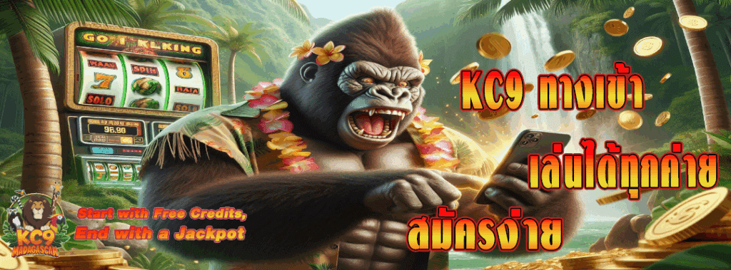 kc9 ทางเข้า