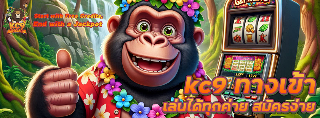 kc9 ทางเข้า